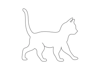Minimal Cat Drawing with a Single Line for Learning Form and Expression