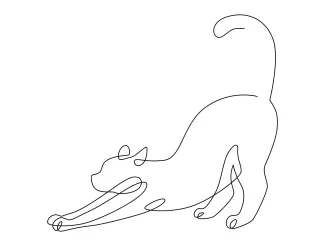 Stretching Cat in One Line: A Fun Way to Practice Motion and Curves