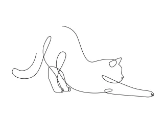 Simple Line Drawing of a Stretching Cat for Studying Shape and Flow