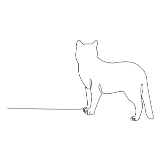Single Line Art of a Kitten: Great for Learning Proportion and Movement