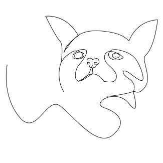  Line Cat Drawing for All Ages: Learn Shape, Balance, and Form