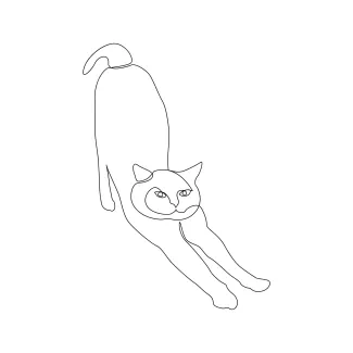"Minimalist One Line Cat Drawing: Simple Techniques to Illustrate a Playful Feline"