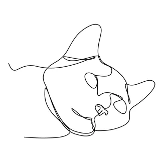 Cat One Line Cat Drawing for Creative Practice: Easy Art for Animal Lovers