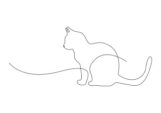  Line Cat Drawing for All Ages: Learn Animal Shapes with Simple Art