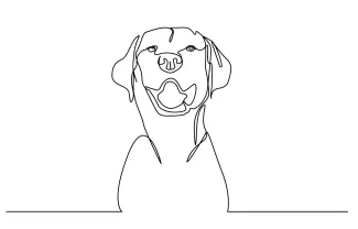Dog in One Line: A Joyful Pet to Draw Simply
