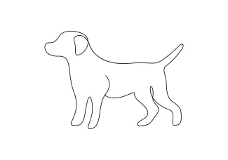 One-Line Dog Practice: Shape, Proportion, and Fun