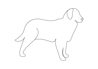 "One-Line Drawing: Capturing a Dog’s Form with Simple Line Art for All Artists"