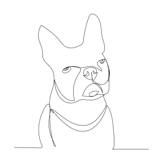 One-Line Dog Drawing: Ideal Practice for Form, Movement, and Control