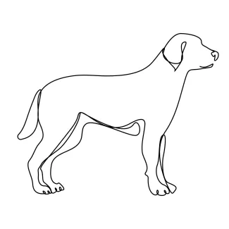 One Line Pet Dog: Learn to Draw Man’s Best Friend in Simple Form