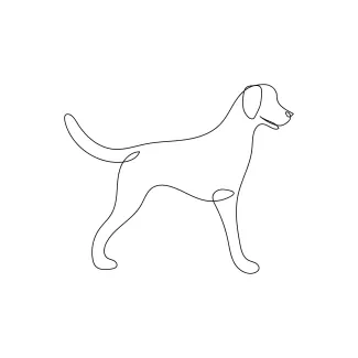 Dog in One Line: Simple Drawing for Shape, Balance, and Practice