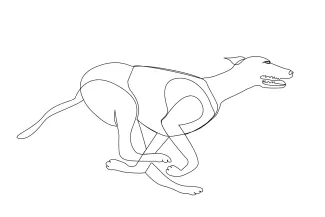 One Line Greyhound Drawing – Learn to Sketch Fast Dogs with Ease