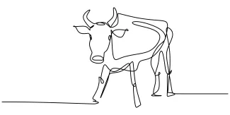 Learn to Draw a Bull with One Line: Simple Art for Animal Lovers
