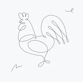 Rooster Simple Rooster Drawing in One Line: Easy Practice for Farm Bird Shapes