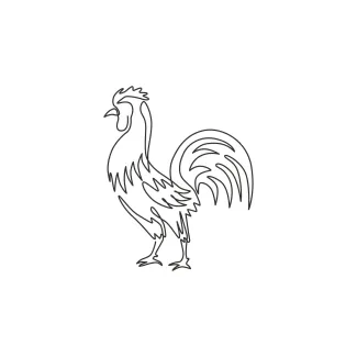 Rooster One-Line Rooster Drawing for Kids and Adults: Learn Bird Forms Through Simple Lines