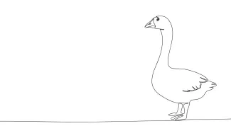 Simple Goose Drawing in One Line: Easy Practice for Long-Necked Bird Shapes