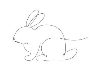 Rabbit Practice One-Line Rabbit Drawing: Learn Ears and Body Shapes in One Move