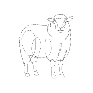 Sheep Learn to Draw a Sheep in One Line: Simple Farm Animal Art for Beginners