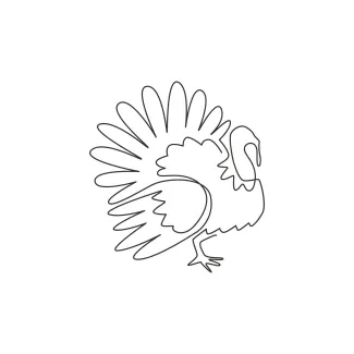 Beginner Turkey Drawing in One Line: Learn to Simplify Animal Forms