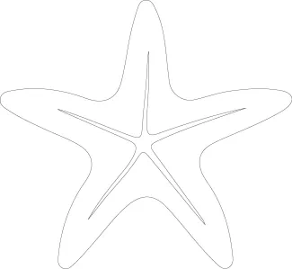 Easy starfish line art Starfish shape made with single unbroken line drawing
