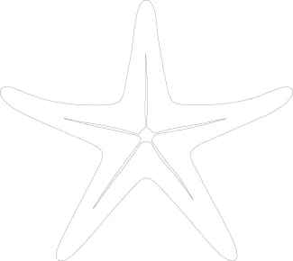 Nature sketch of sea star Marine starfish illustrated with one uninterrupted line drawing