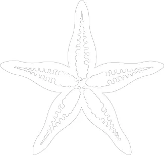 Sea star with five arms drawn using continuous line technique