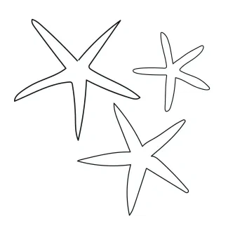 Trio of sea stars sketch Three sea stars drawn in one continuous line each