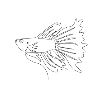 Betta fish or fighting fish Betta Fish One-Line Drawing: Learn Fin Detail and Curved Motion with a Fighting Fish