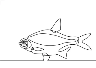 Fish One-Line Fish Drawing: Great for Practicing Simple Shapes and Symmetry