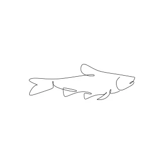 Fish Simple Fish One-Line Drawing: Practice Curves and Fins Easily