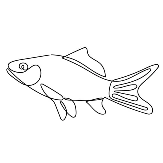 Fish Simple Fish One-Line Drawing: Great for Practicing Balanced Body Shapes