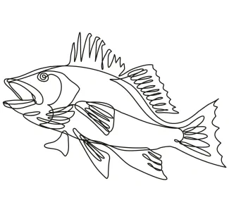 Largemouth bass One-Line Largemouth Bass Drawing: Focus on Big Features in a Simple Animal Sketch