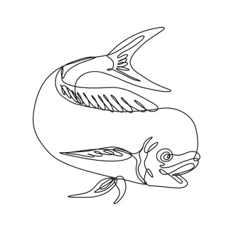 Dorado dolphin fish or mahi mahi jumping down Mahi Mahi Jumping Down in One Line: Practice Tropical Fish Motion and Bold Curves