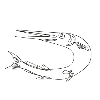 Needlefish or long toms jumping up Needlefish Jumping Drawing in One Line: Practice Slim Shapes and Aerial Curves