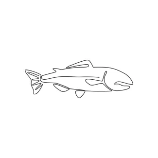 Large salmon Large Salmon Drawing in One Line: Practice Strong Body Lines and River Life Forms