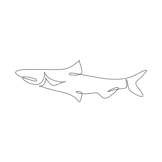 Salmon Salmon One-Line Drawing: Focus on Streamlined Body Practice