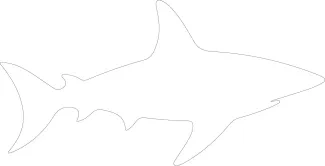 Galapagos Shark One-Line Drawing: Practice Drawing Bold Ocean Silhouettes
