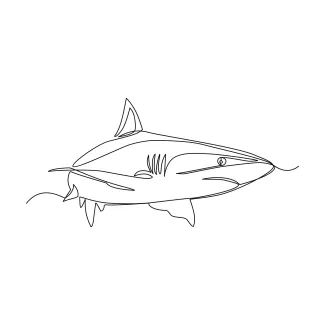 Shark Shark One-Line Drawing: Explore Ocean Predator Forms with Simple Shapes
