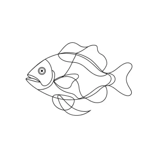 Tilapia One-Line Drawing: Practice Natural Finned Shapes in a Single Sketch