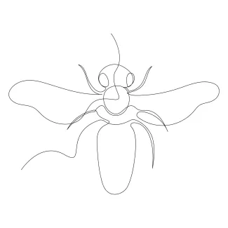Flying bee Easy Flying Bee Drawing in One Line: Practice Small Insect Form and Detail