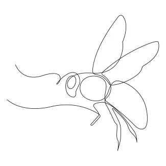 Flying bee One-Line Flying Bee Drawing: Build Skills in Symmetry and Tiny Form Detail