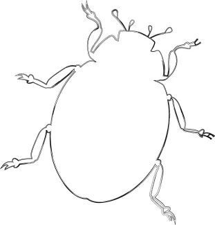 Beetle Simple Beetle Drawing in One Line: Easy Exercise for Form and Balance