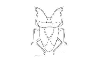 Big beetle Big Beetle One-Line Drawing: Learn Structure and Bold Shape Composition