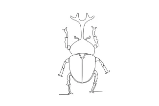 Beetle Easy Beetle Drawing in One Line: Learn Rounded Shapes and Basic Insect Form