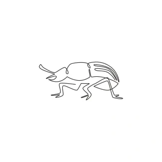 Cute beetle One-Line Cute Beetle Drawing: Simple Art to Understand Symmetry in Insects