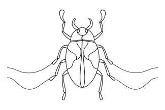 Beetles One-Line Beetles Drawing: Practice Symmetry and Shape with Simple Insect Forms