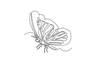 Butterfly One Line Butterfly Drawing for Kids and Beginners: Easy Insect Art Practice