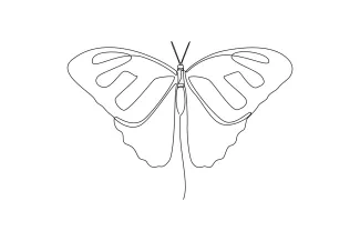 Easy Butterfly One Line Drawing: Learn to Sketch Nature with One Continuous Line