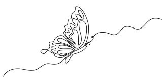Butterfly Learn One Line Butterfly Drawing: A Simple Way to Improve Drawing Focus