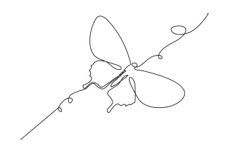 Beginner’s One Line Butterfly Art: A Relaxing Way to Draw Nature
