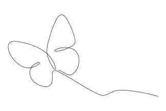 Elegant Butterfly Drawing with a Single Line: A Calm Way to Learn Art Basics
